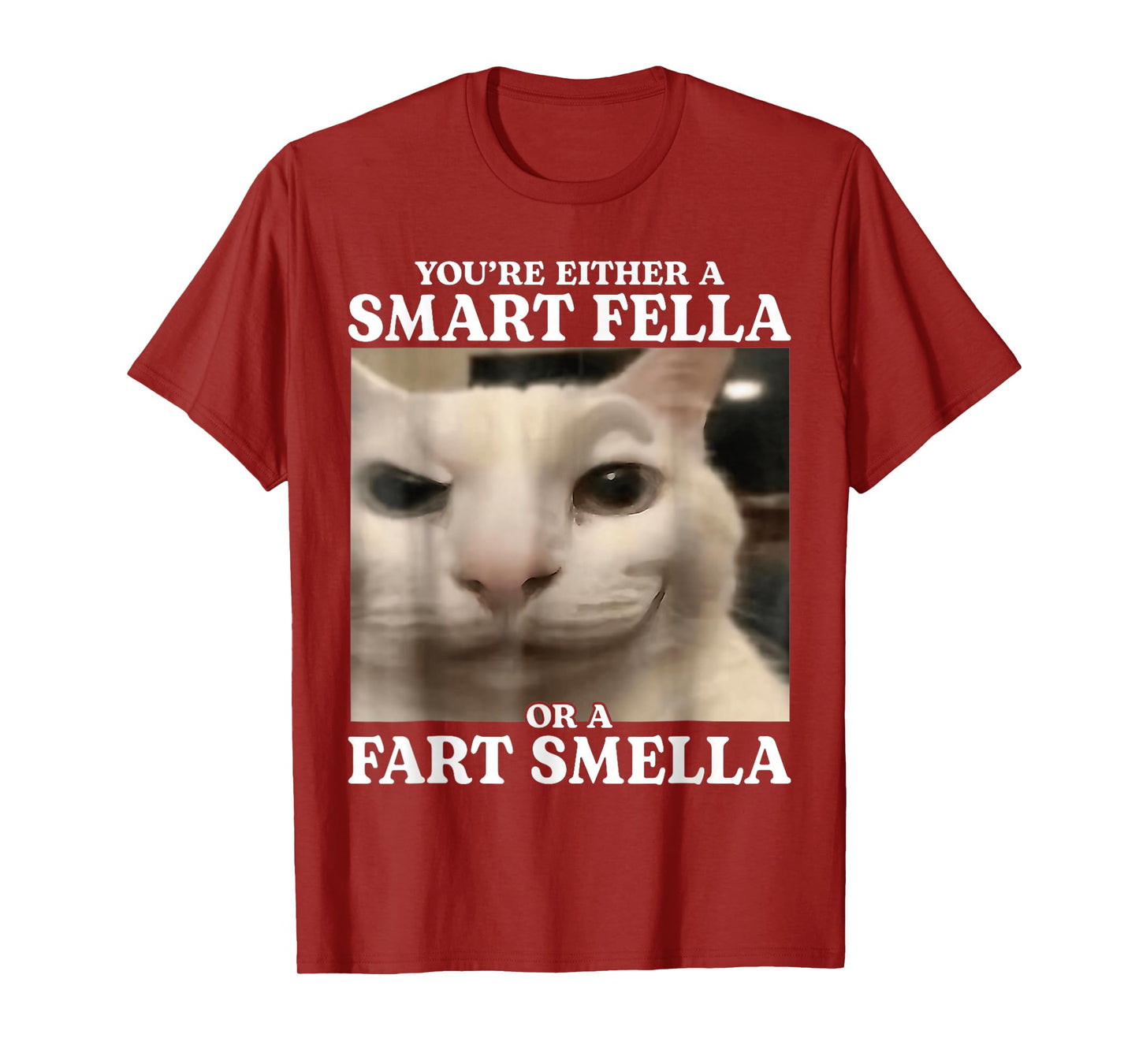 You're Either a Smart Fella or a Fart Smella Cat Funny Meme T-Shirt