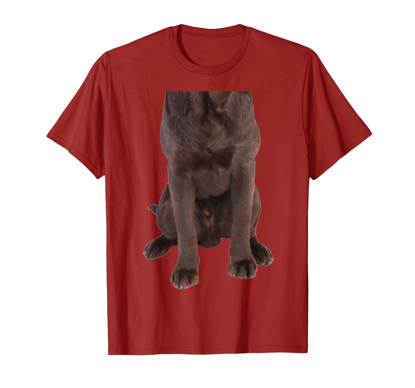 Brown Labrador Retriever Chocolate Lab Funny Dog Costume T-Shirt for Men Women Girls Kids