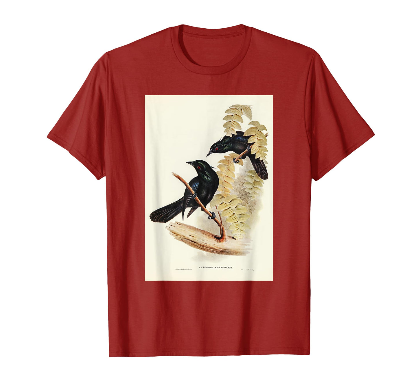 Keraudren's Crow-Shrike Birds Illustration For Men & Women T-Shirt