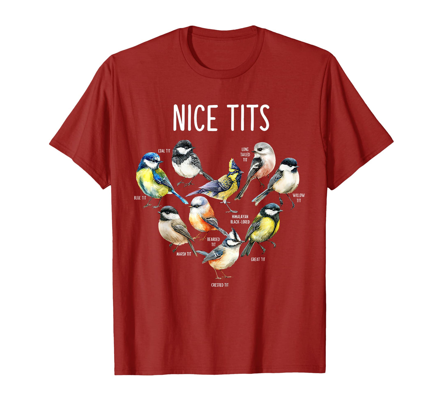 Retro Funny Nice Tits Birds Birdwatcher Bird Watching Humor T-Shirt
