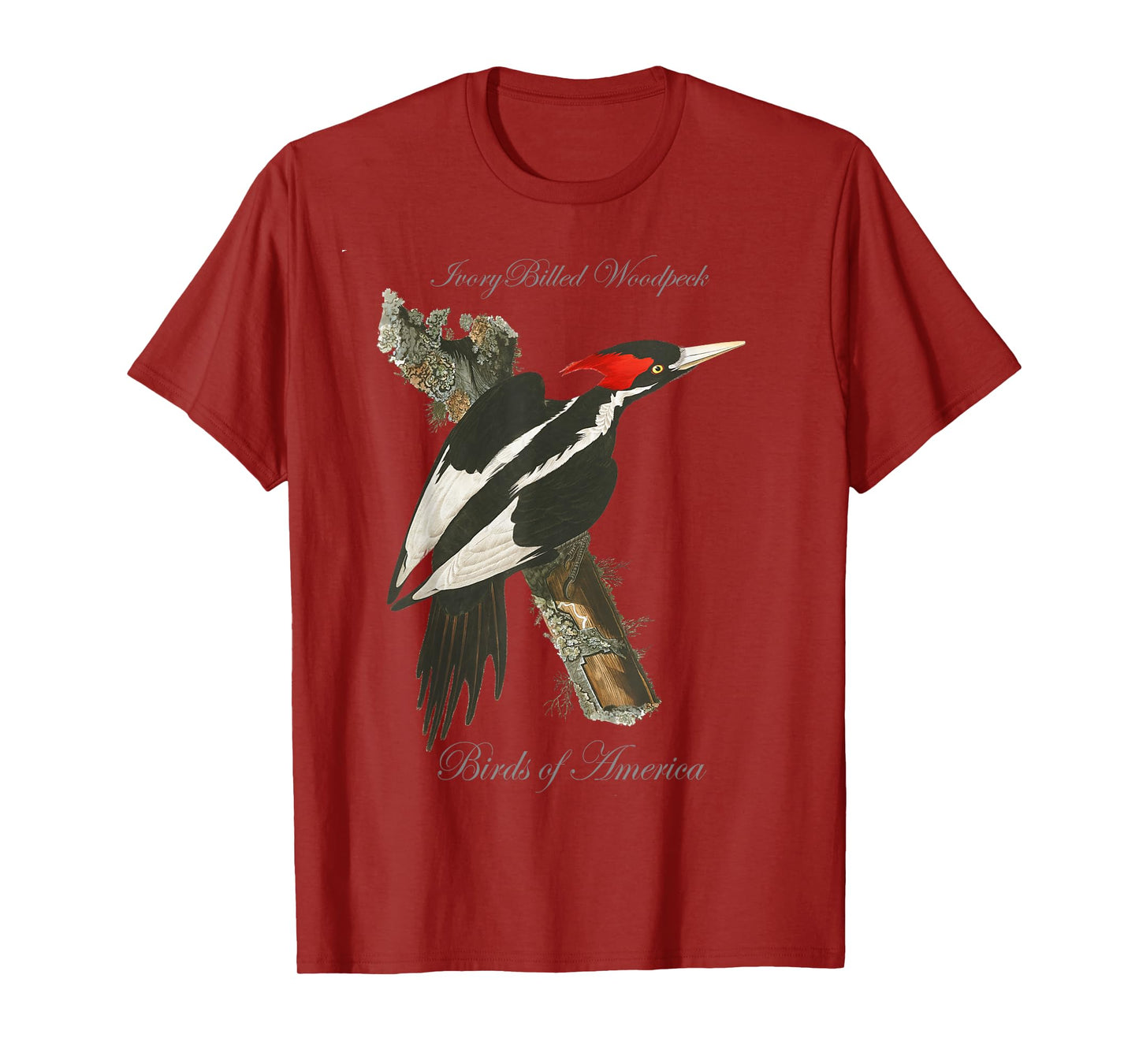 Ivory Billed Woodpecker - Birds of America Series T-Shirt T-Shirt