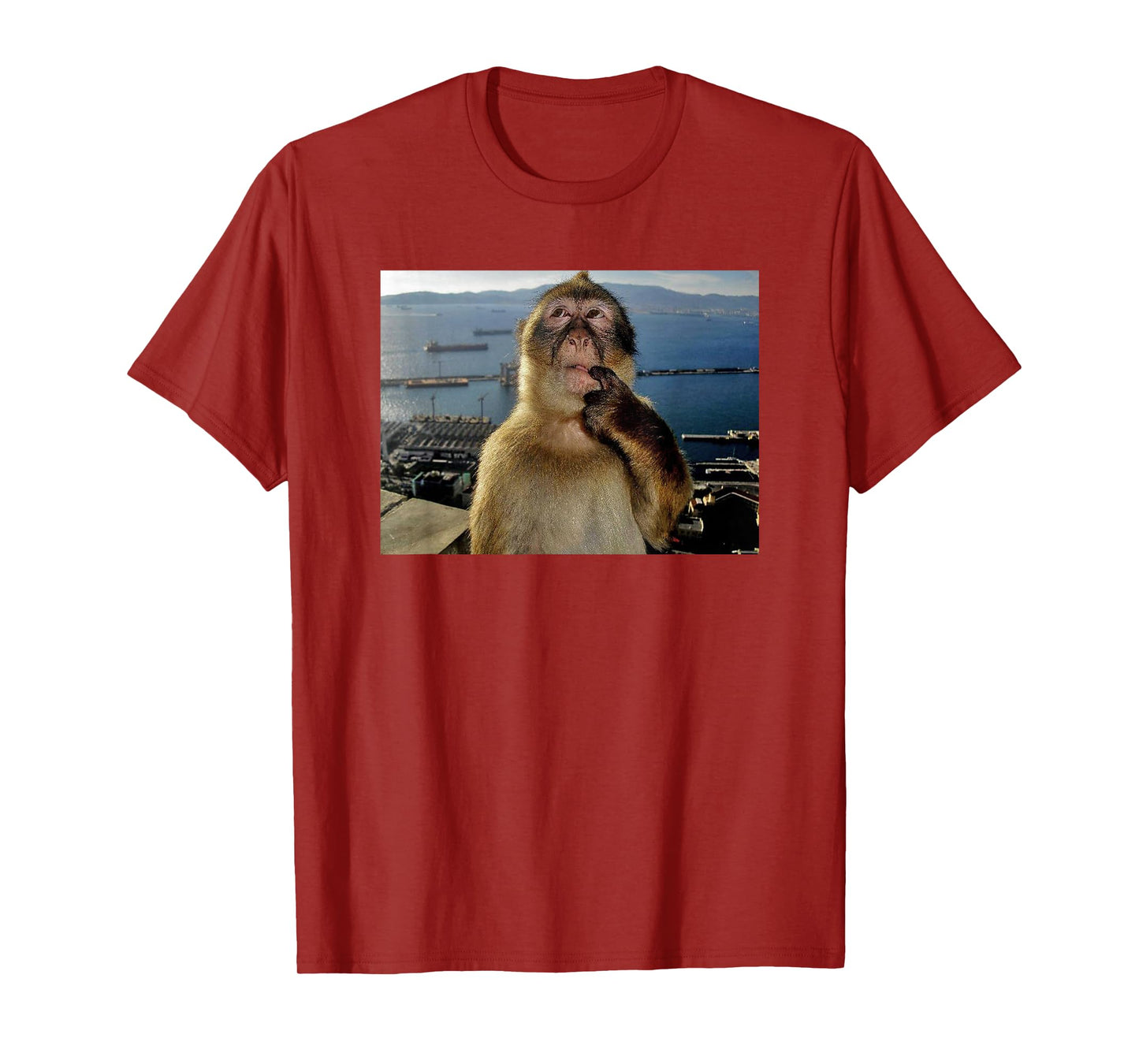 Thinking Monkey Meme T-Shirt