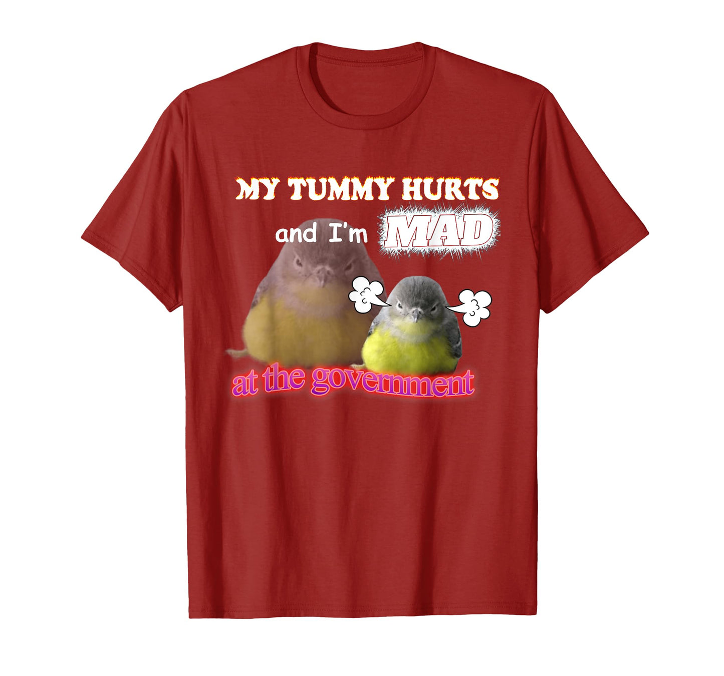 My Tummy Hurts And I'm Mad At The Government Birb Meme T-Shirt
