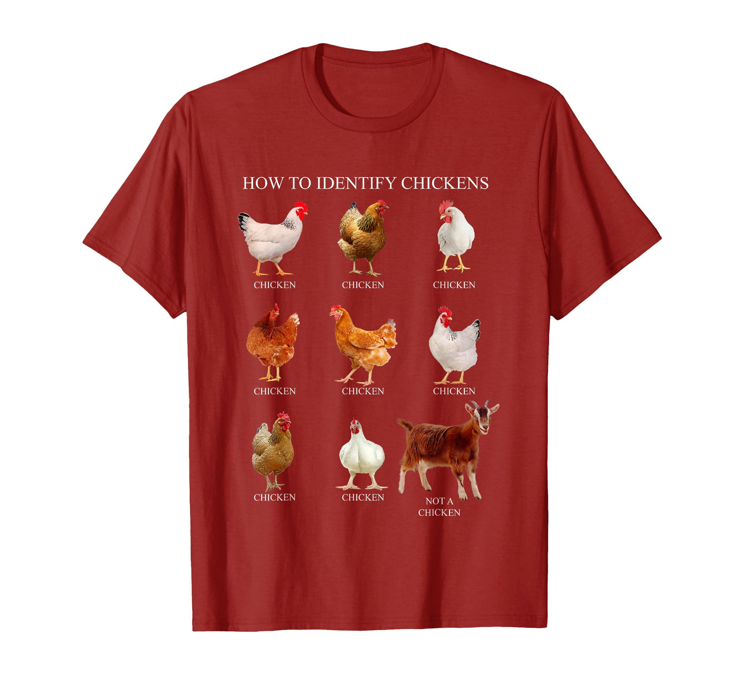 How To Identify Chickens Chicken Tees Unisex-Adults, Unisex-Kids Black T-Shirt Small