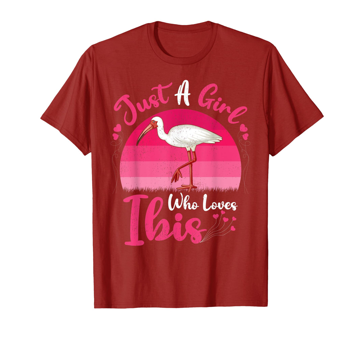 Vintage Ibis Bird Lover Just A Girl Who Loves Ibis T-Shirt