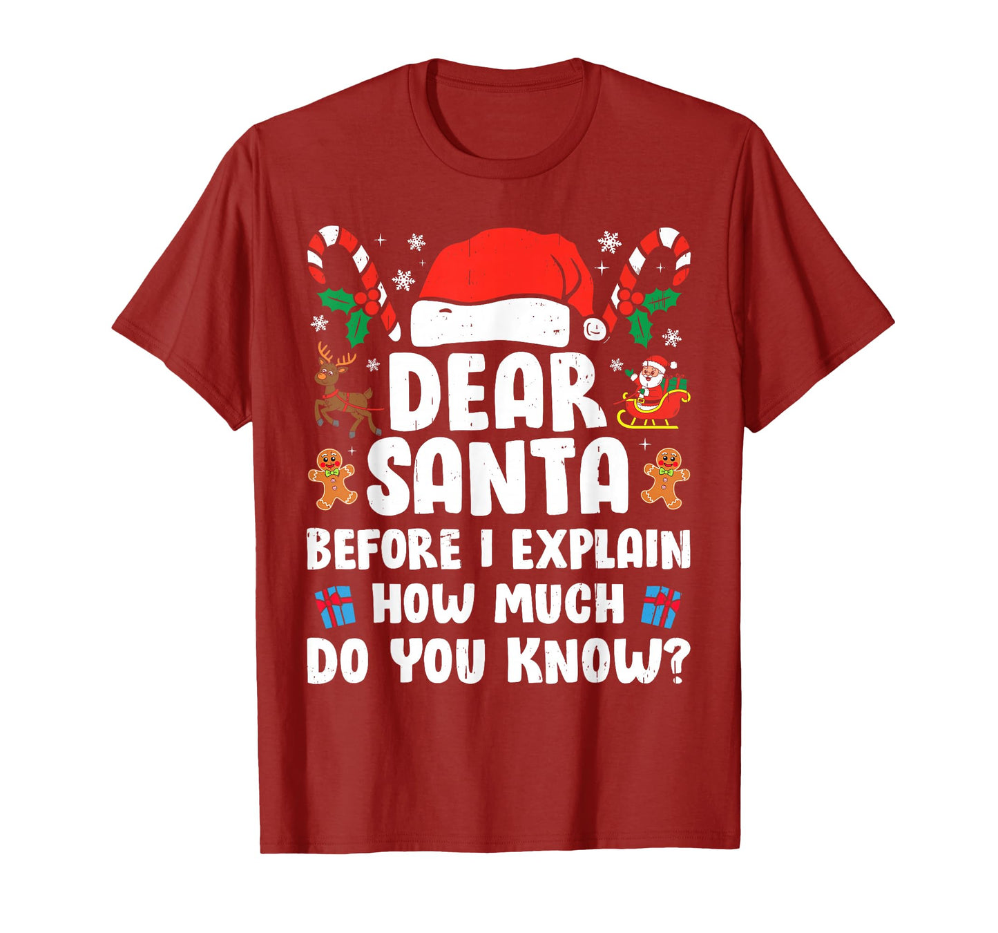 Dear Santa I Can Explain Funny Christmas Xmas Men Women Kids T-Shirt