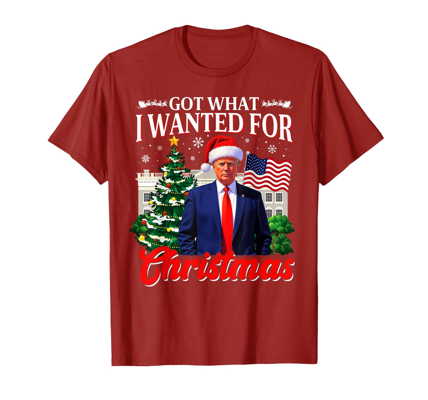 Got What I Wanted For Christmas Donald Trump 47th President T-Shirt