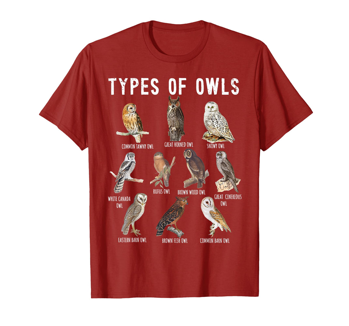 Owl Lover, Owl Types, Bird Lover, Owl T-Shirt