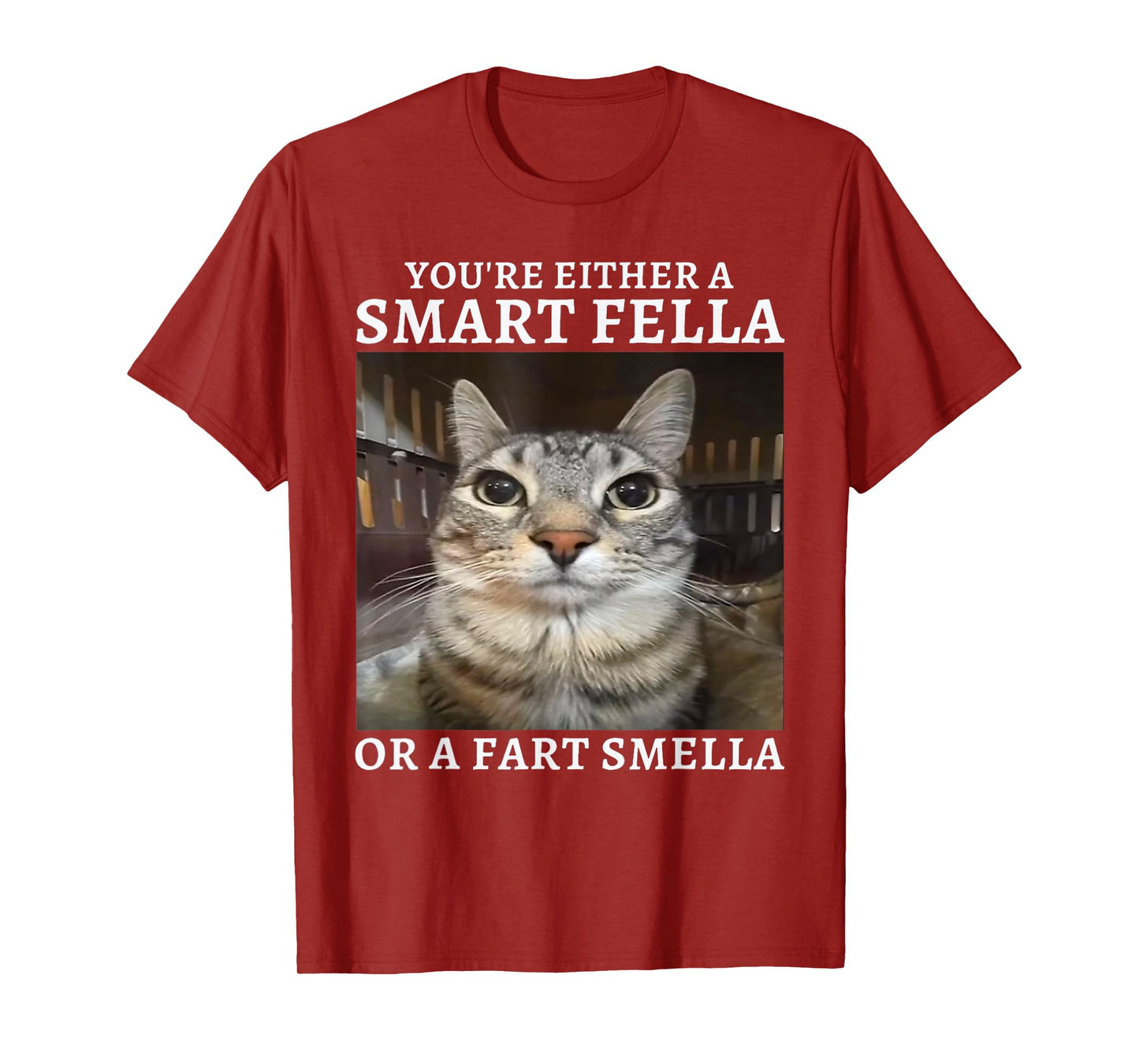 You're Either a Smart Fella or a Fart Smella Funny Cat Meme T-Shirt