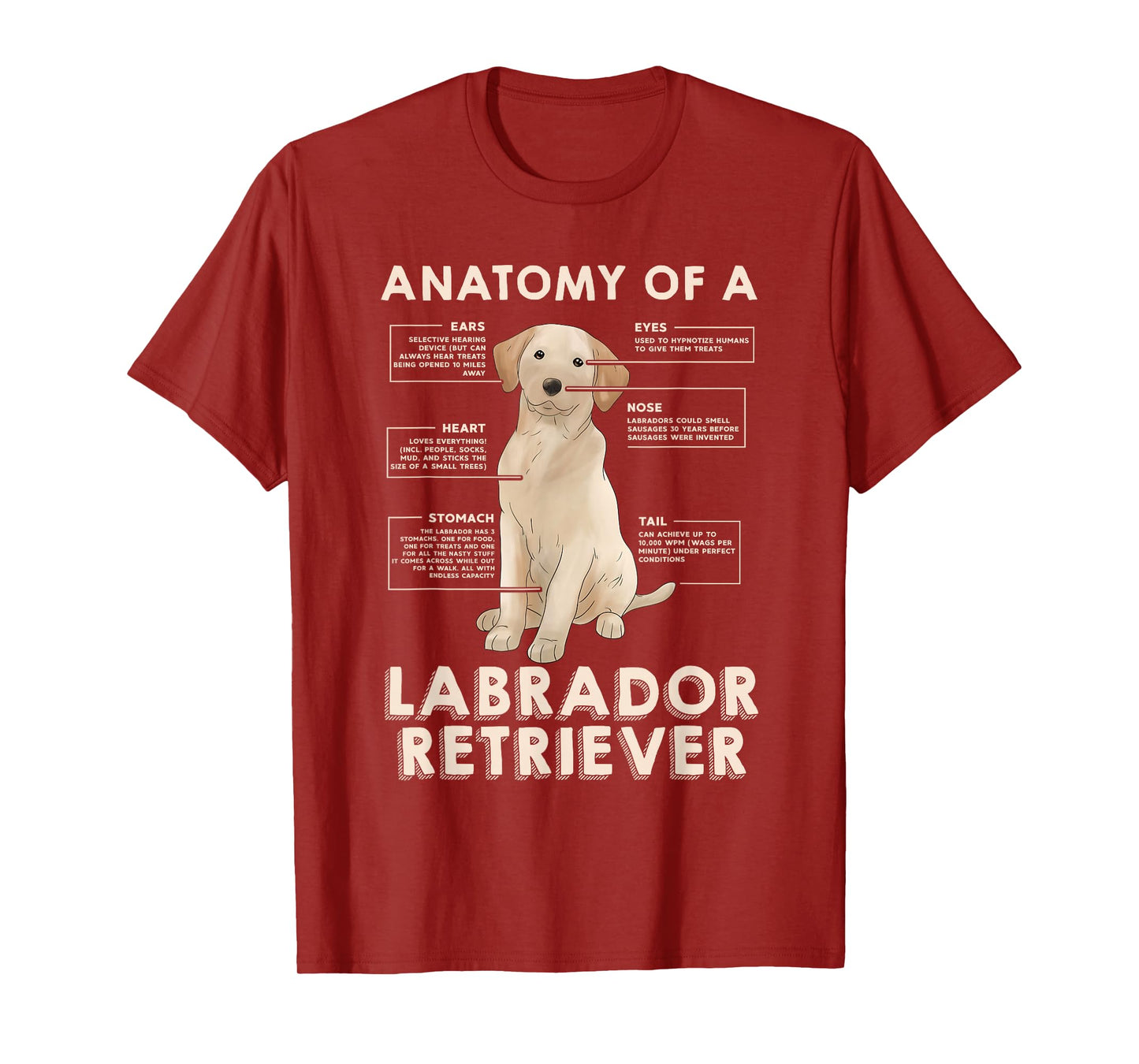 Funny Anatomy of a Labrador Retriever Graphic with Saying T-Shirt