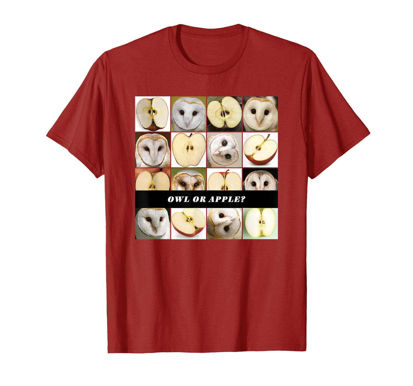 Barn Owl or Apple? AI Machine Learning Food or Object Meme T-Shirt
