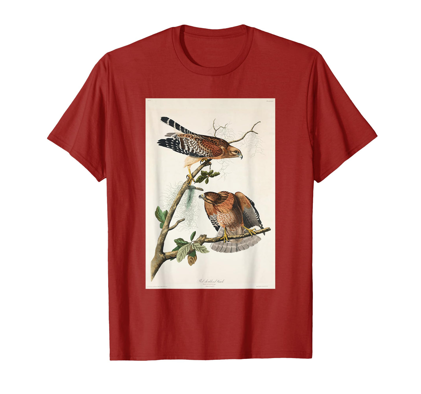 Vintage Red-Shouldered Hawks Birds Illustration Men & Women T-Shirt