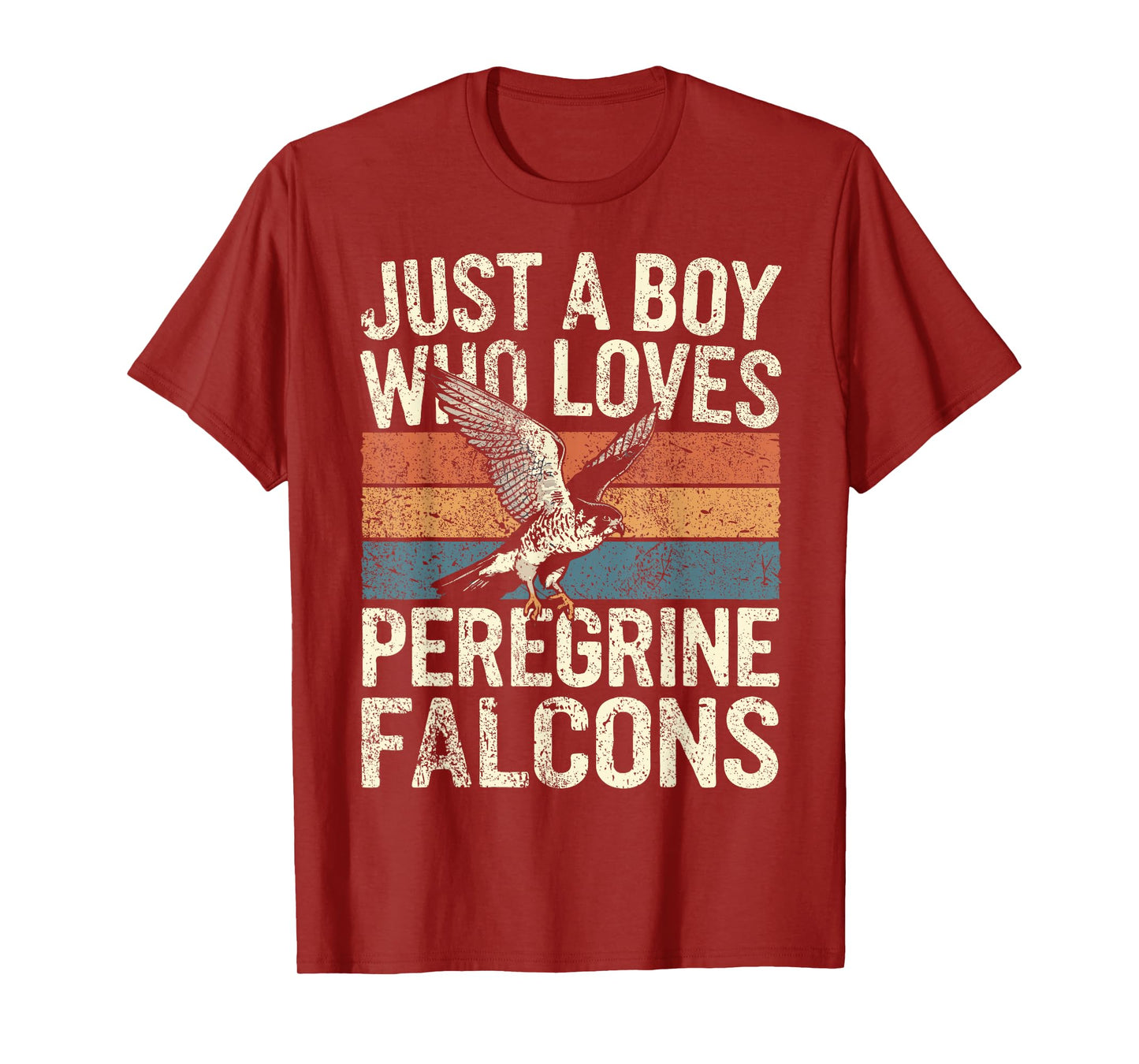 Falconer Boy Loves Peregrine Falcons Falconry T-Shirt