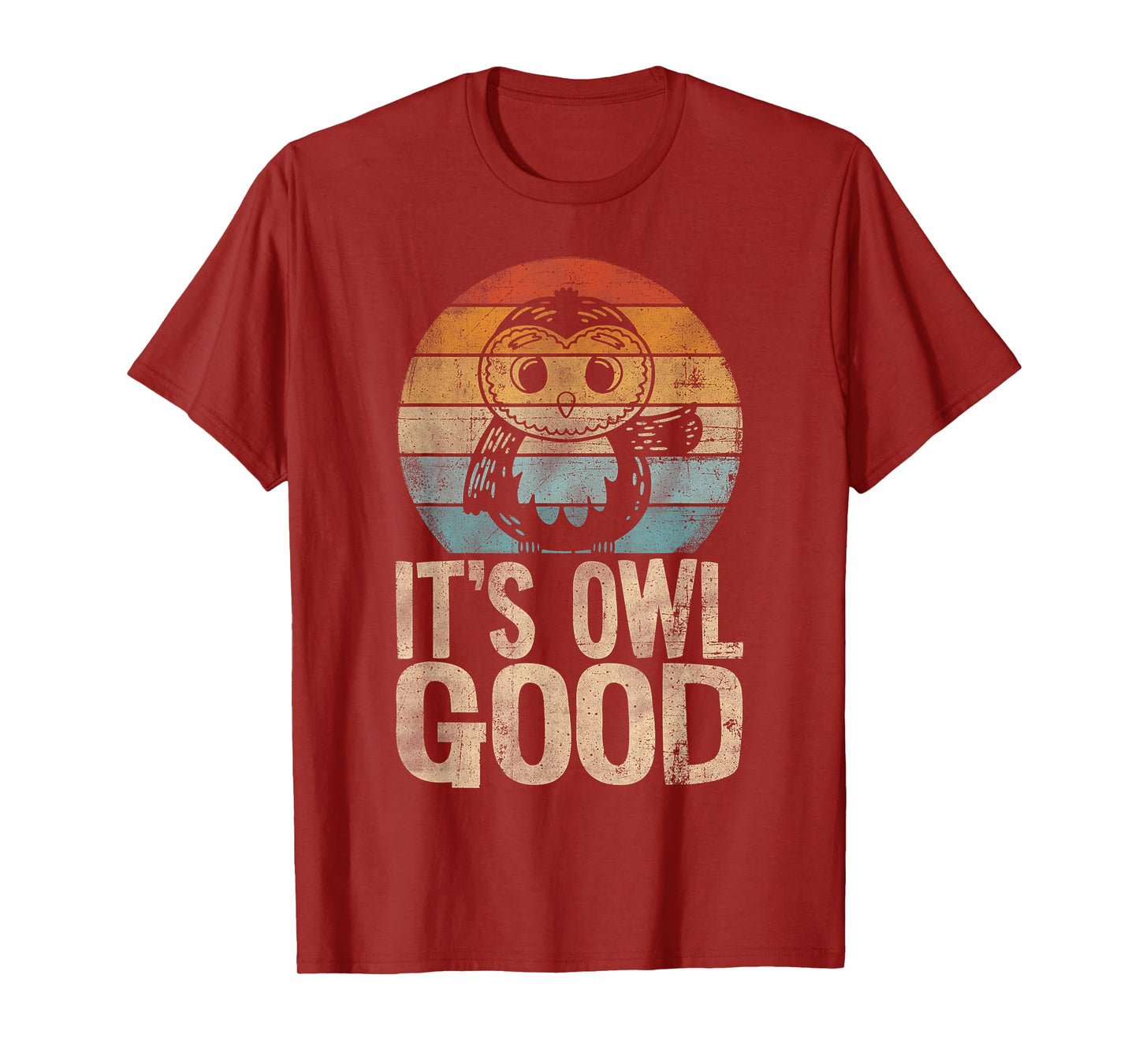 Funny Owl, Funny Bird, Funny Animal Saying, Owl Lover, Owl T-Shirt