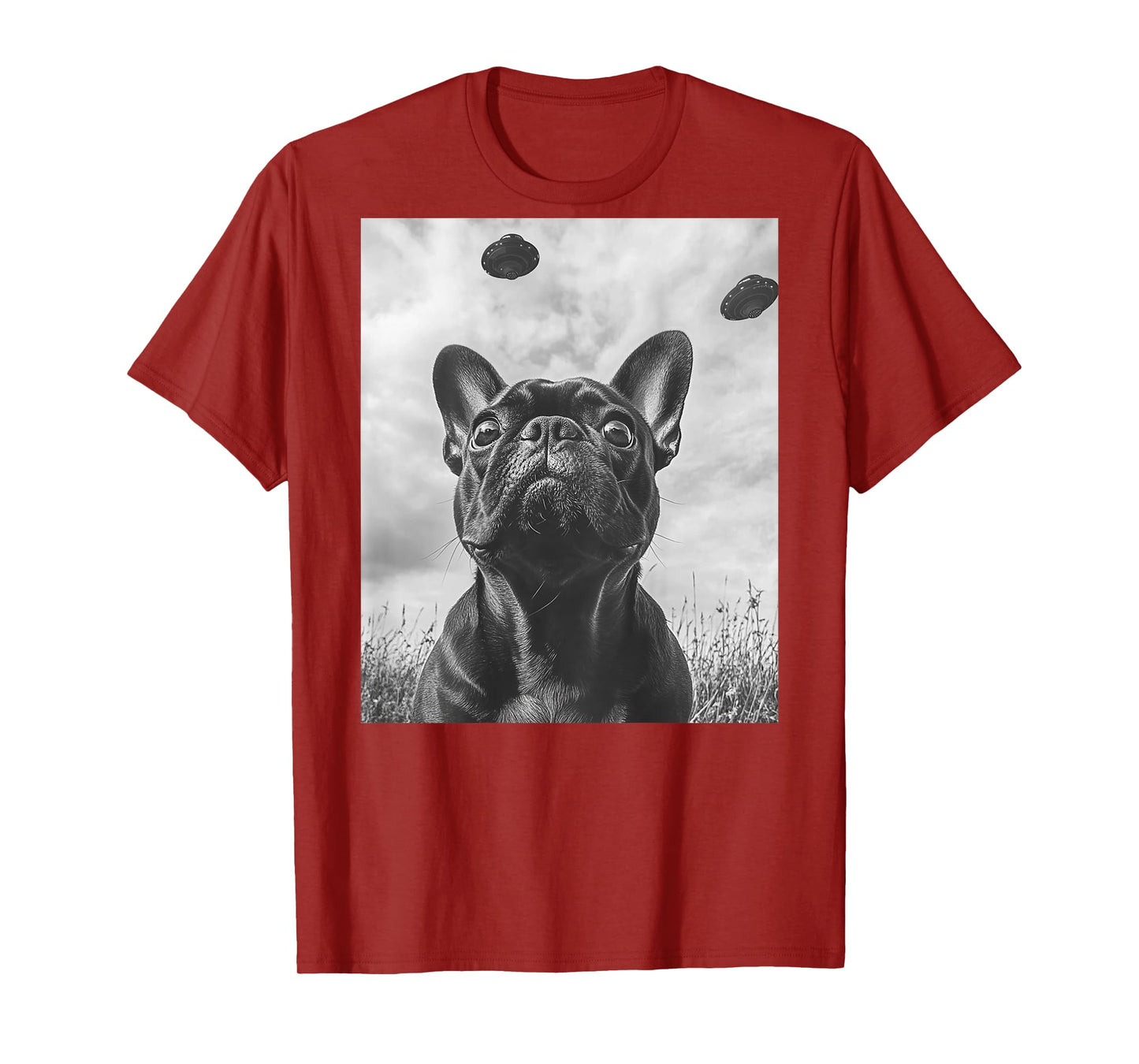 Funny graphic French Bulldog Frenchie UFO Alien Funny weird T-Shirt for Men Women Kids
