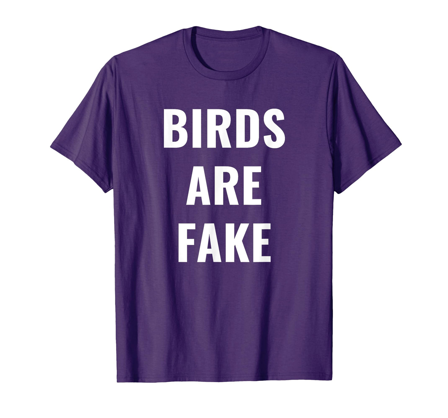 Birds are Fake - Meme T-Shirt