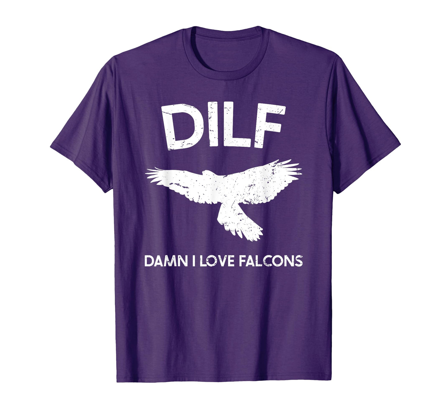 DILF-Damn I Love Falcons Funny Saying Falconry Lovers T-Shirt