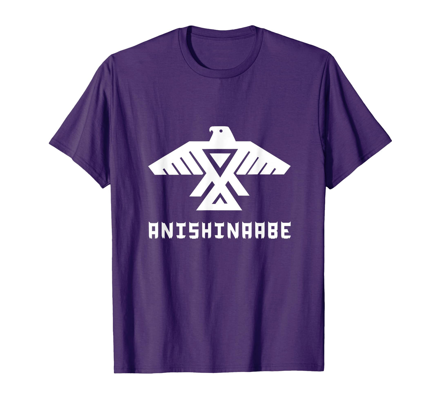 Anishinaabe First Nations Thunderbird, Ojibwe Indigenous T-Shirt