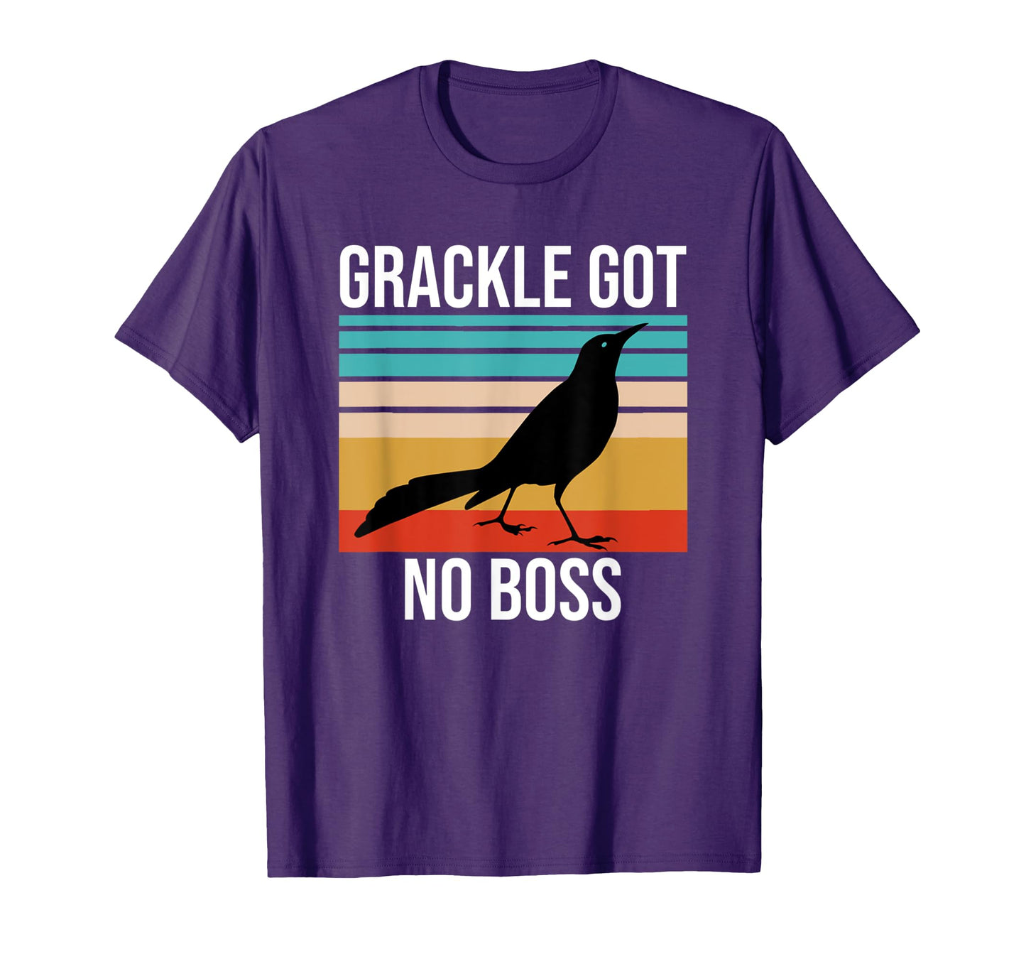 Vintage Grackle Got No Boss Funny Bird Lover Retro T-Shirt