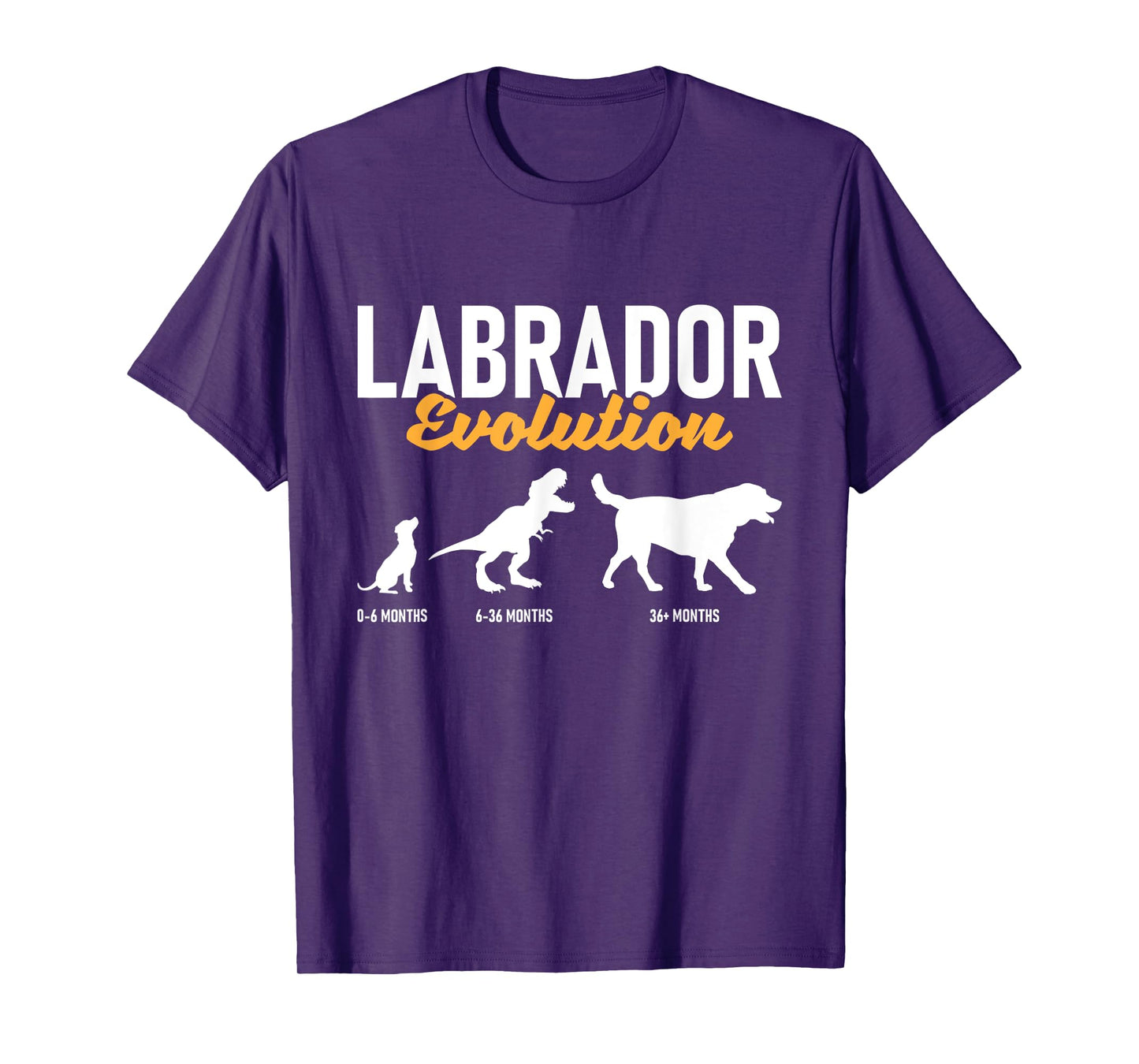 Labrador Evolution - Pet Owner Animal Dog Lover T-Shirt