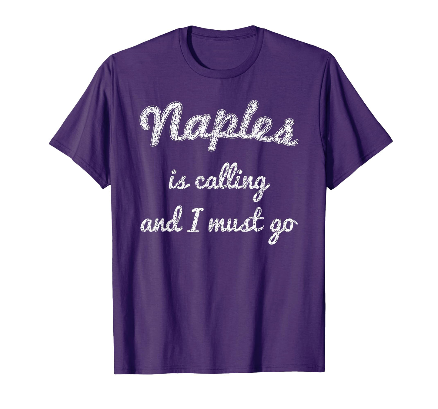 NAPLES FL FLORIDA Funny City Trip Home Roots USA Gift T-Shirt