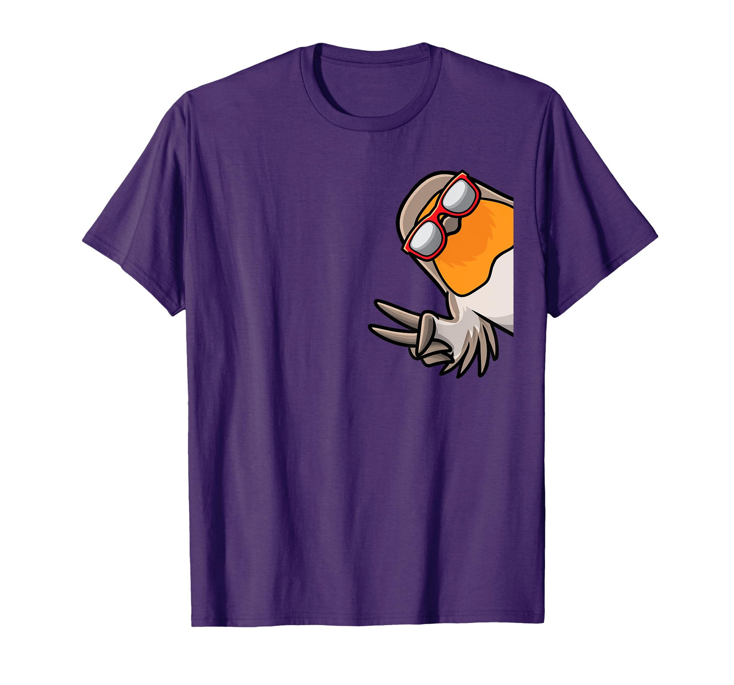 European Robin Birds T-Shirt