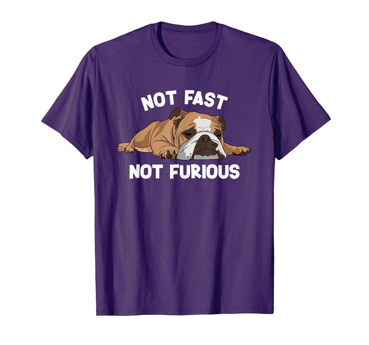 English Bulldog Sleeping Not Fast Not Furious Funny Slogan T-Shirt for Men Women Girls Kids