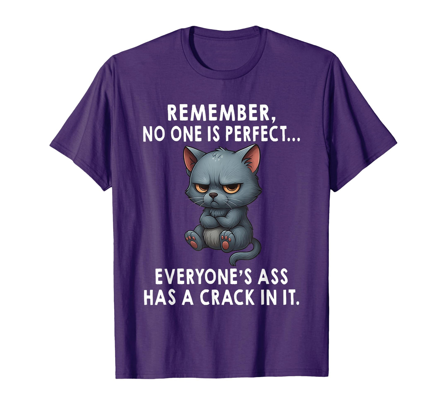 Remember No One is Perfect Everyone's Ass Has A Crack in It T-Shirt