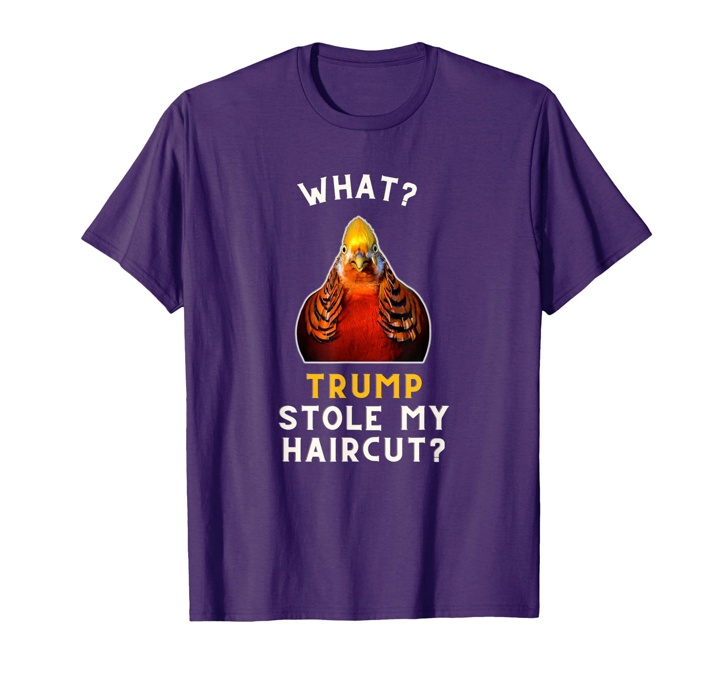 Golden pheasant Meme Bird Men Women Kids T-Shirt
