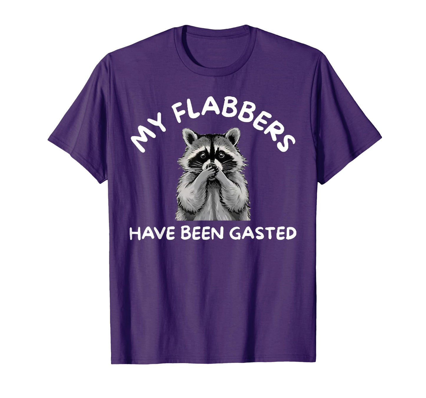Raccoon My Flabbers Have Been Gasted T-Shirt