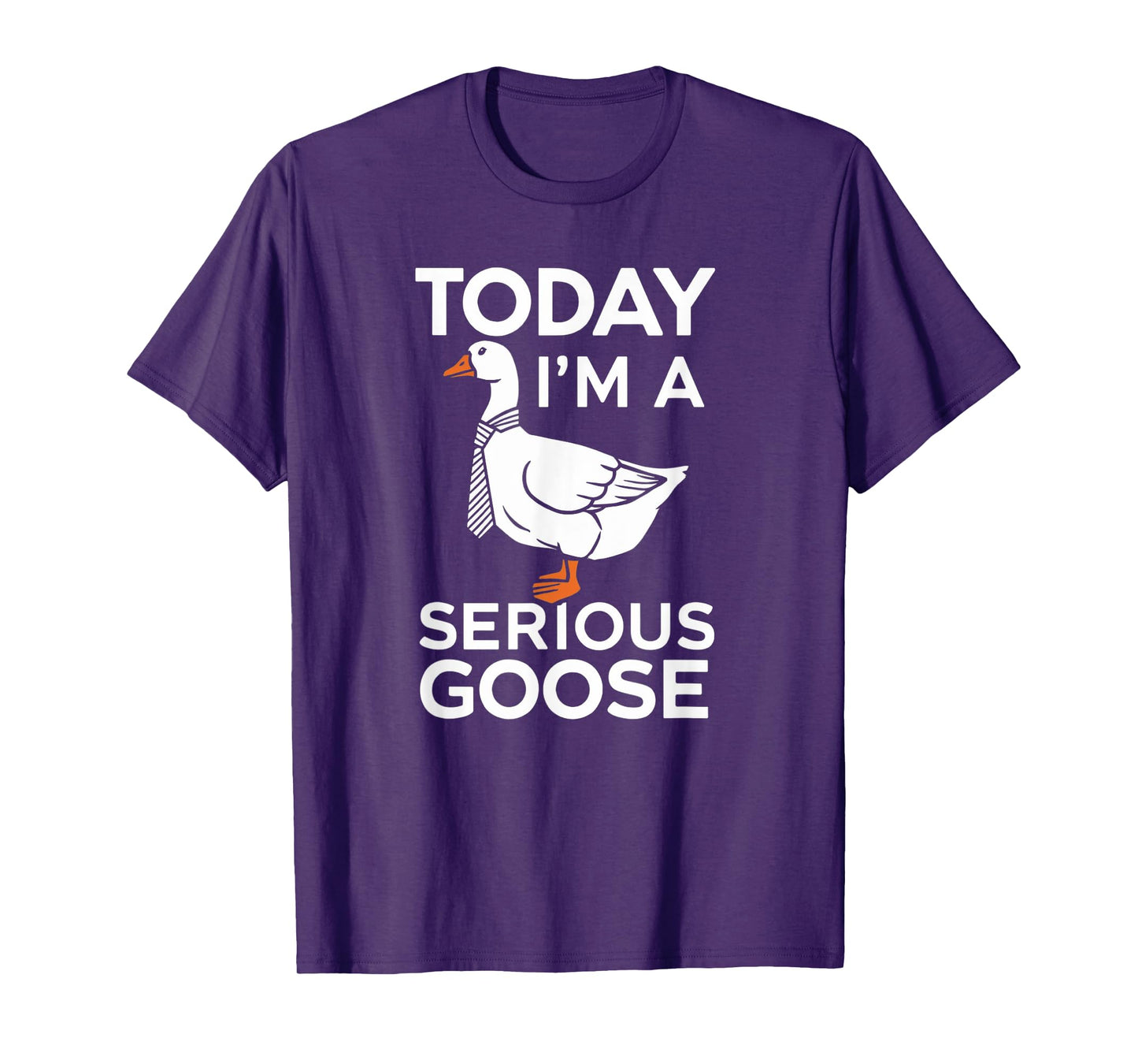 Today I'm a Serious Goose Silly Goose Funny Bird T-Shirt