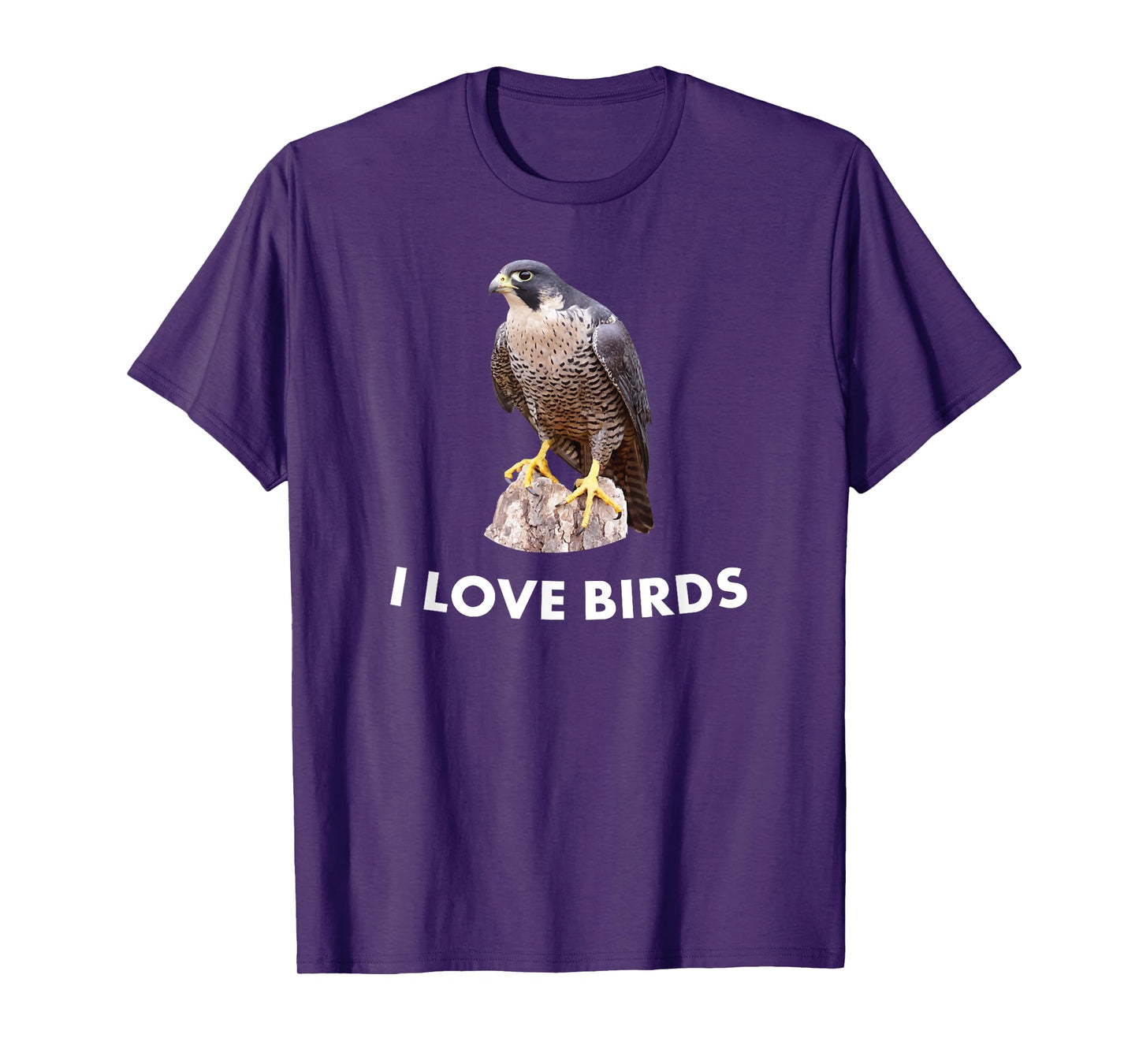 Peregrine Falcon Bird Birding Gift T-Shirt