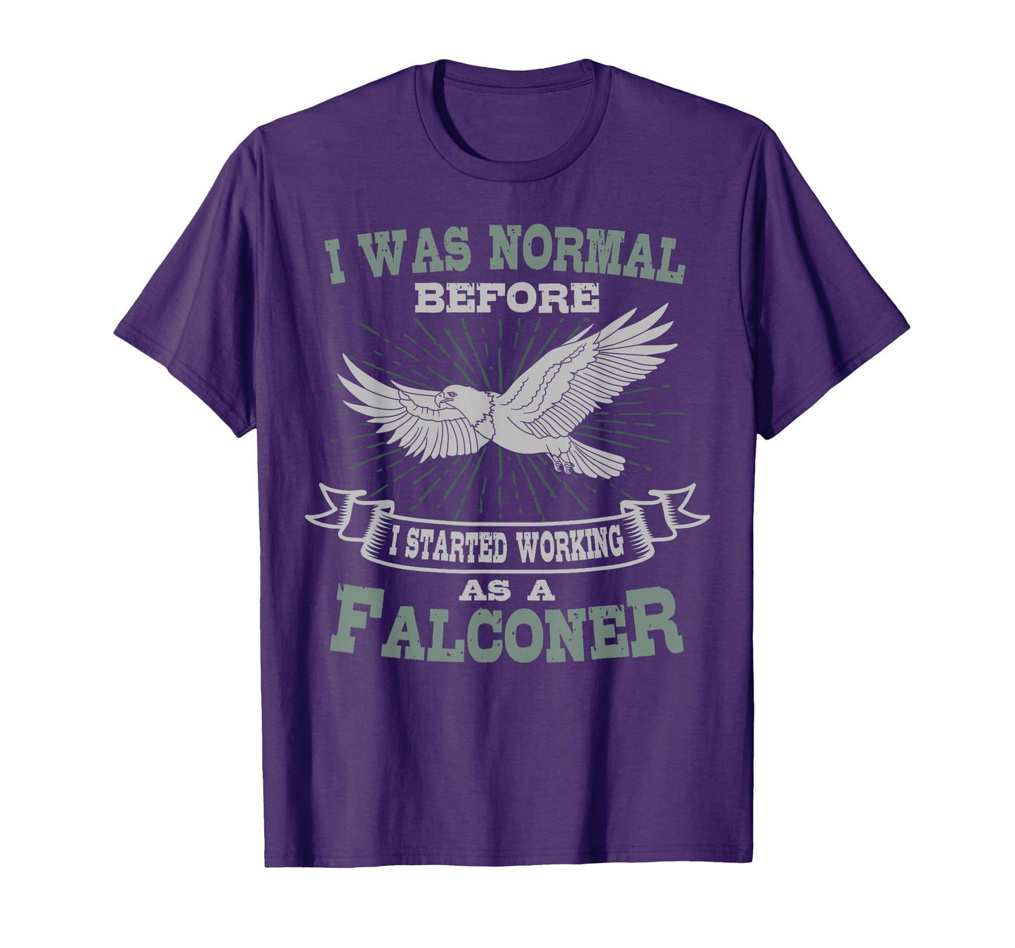 Falconer Falconry Gamehawking Falcon Hawker I Was Normal T-Shirt