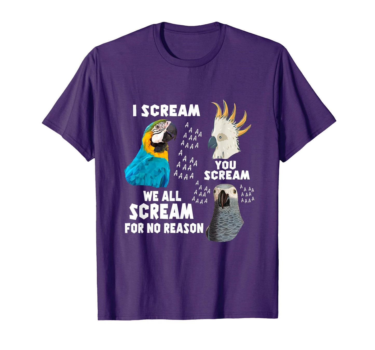 I Scream You Scream We All Scream For No Reason Birds T-Shirt