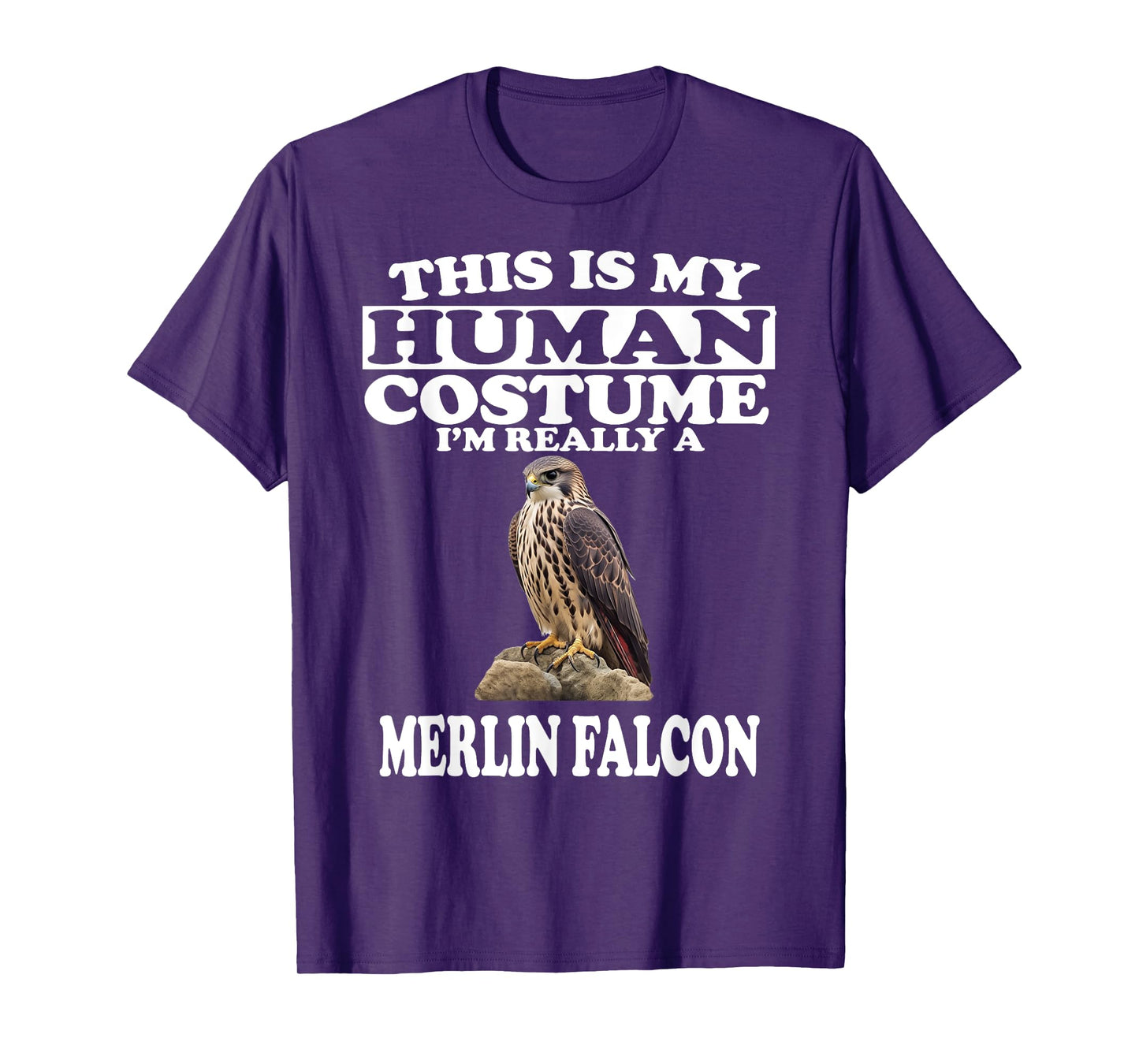 This is My Human Costume I'm Really A Merlin Falcon T-Shirt