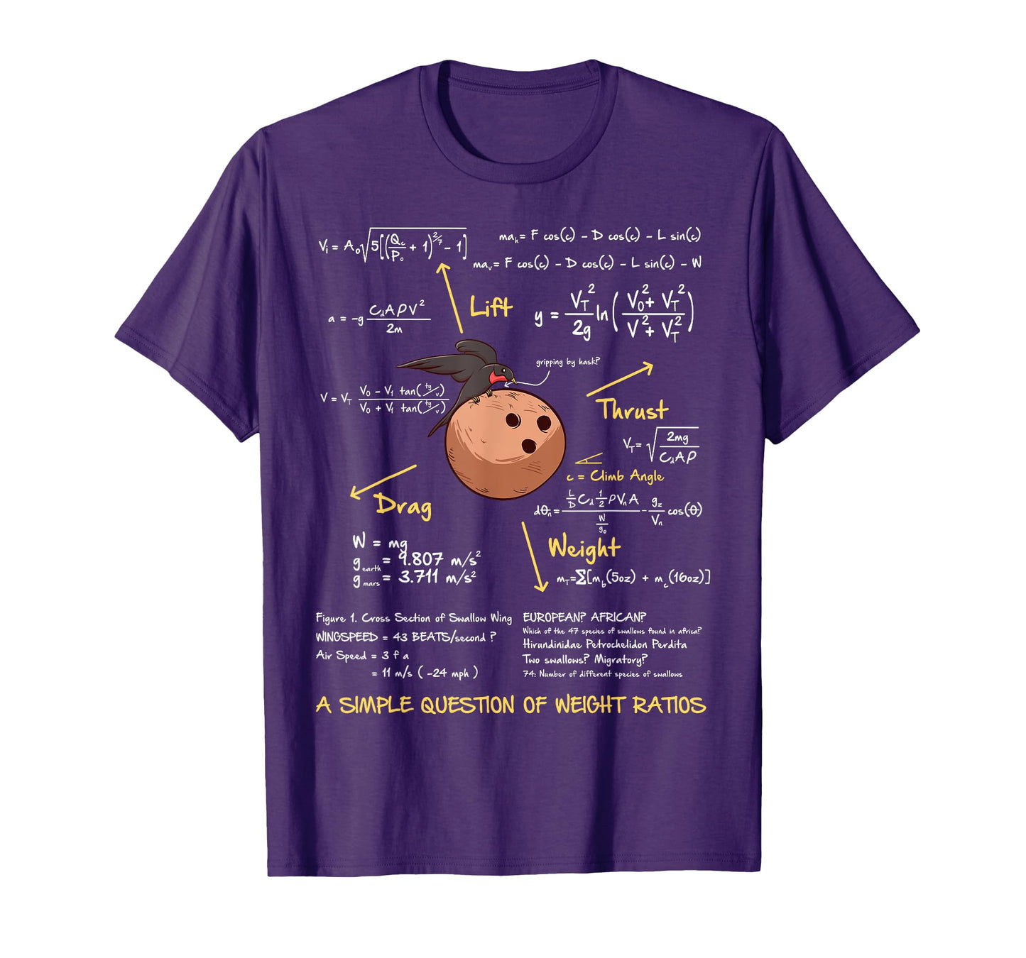 Simple Question of Weight Ratio Funny Math Teacher Geek T-Shirt