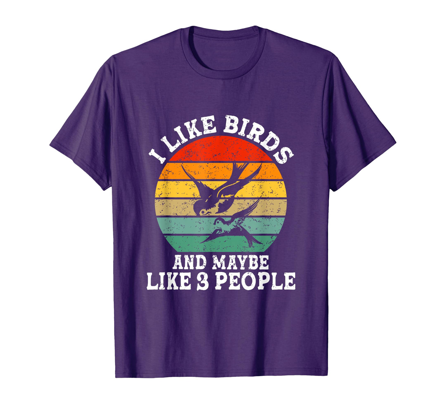 I Like Birds And Maybe 3 People Funny Retro T-Shirt