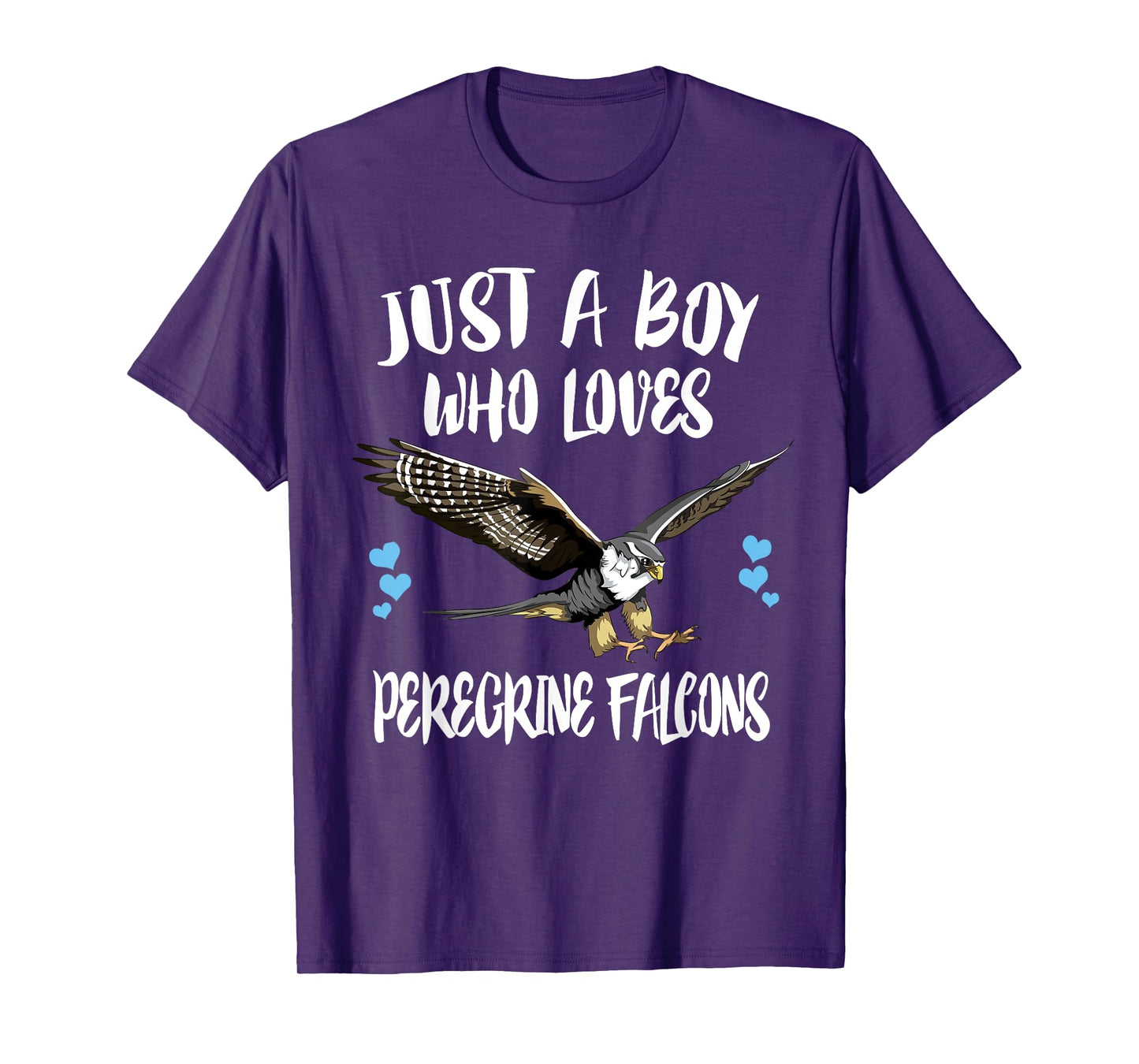 Just A Boy Who Loves Peregrine Falcons Birds T-Shirt
