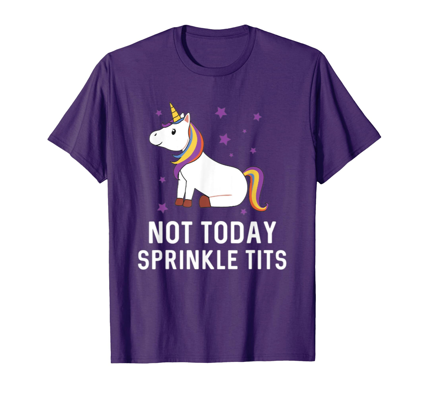 Not Today Sprinkle Tits Unicorn Rainbow Majestic Magical T-Shirt