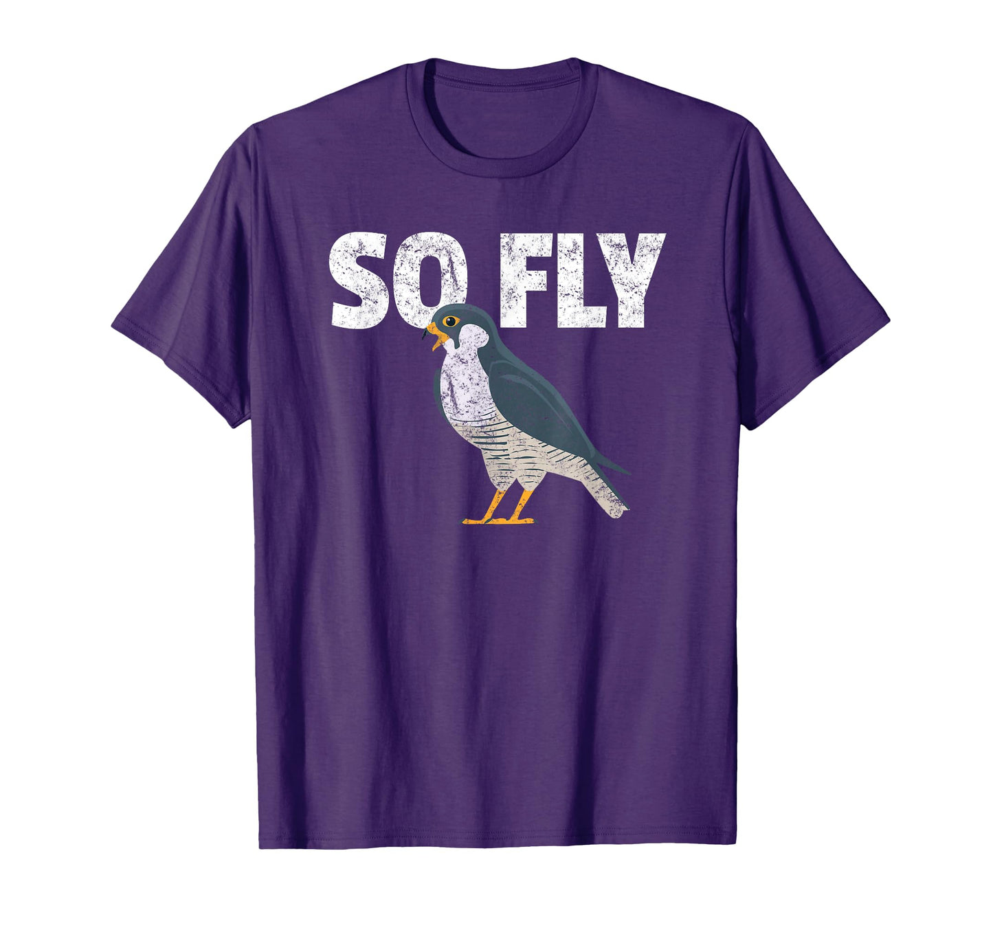 Peregrine Falcon Bird, Birdwatcher Vintage T-Shirt