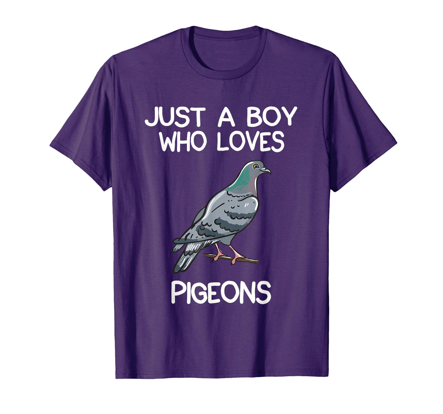 Just A Boy Who Loves Pigeons Owner Lover Gift Pigeon Love T-Shirt