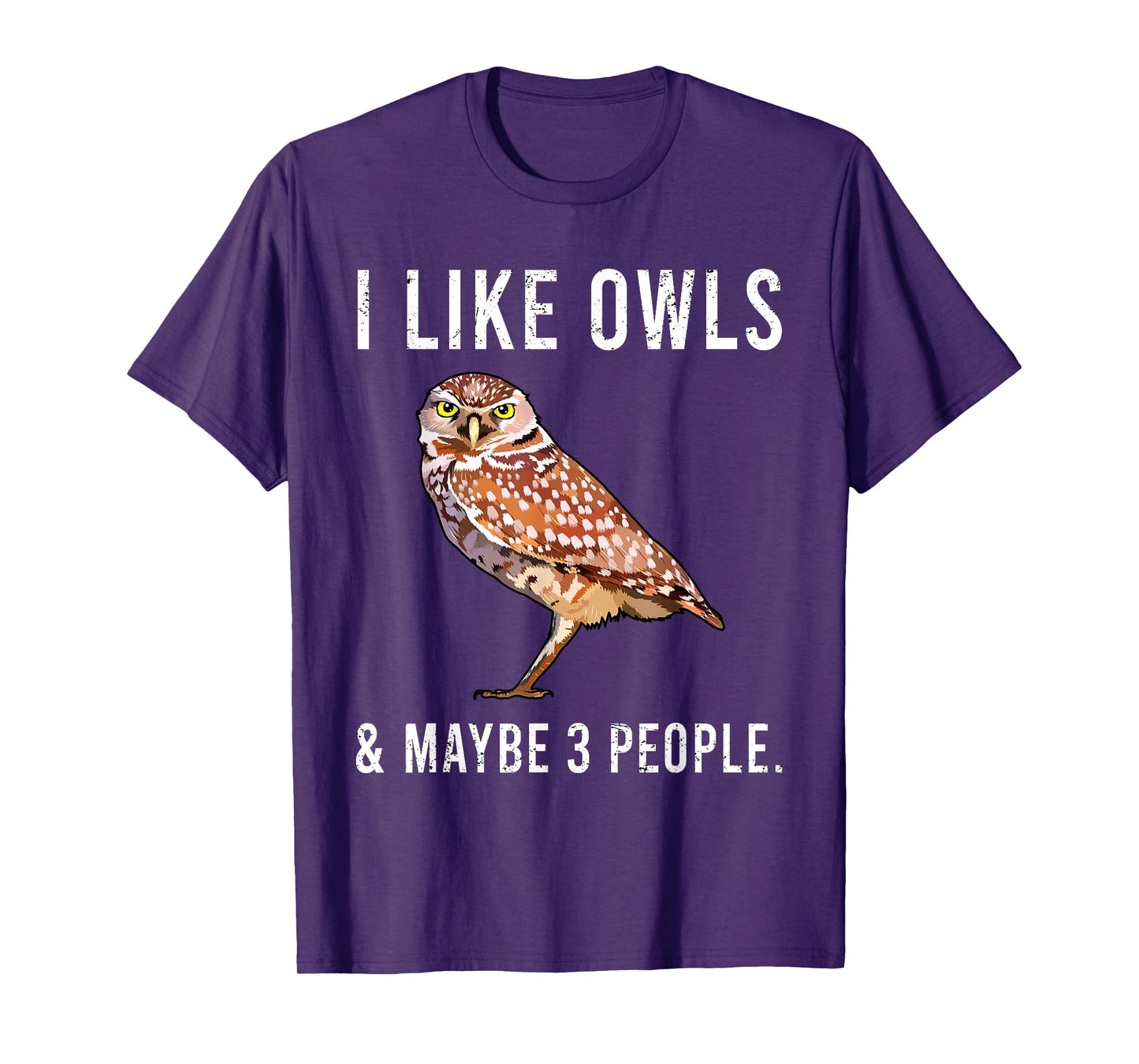 Funny I Like Burrowing Owls And Maybe 3 People T-Shirt