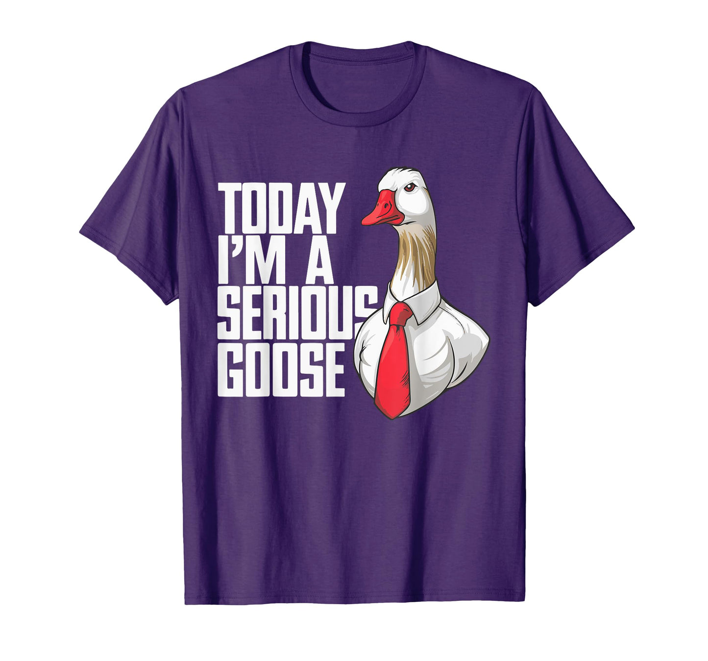 Today I'm A Serious Goose T-Shirt