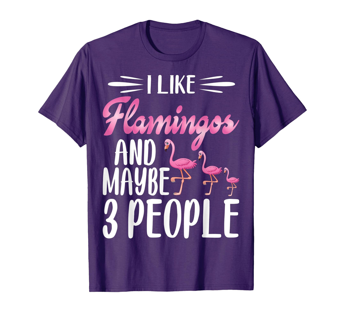 I Like Flamingos and Maybe 3 People | Flamingo Lover T-Shirt