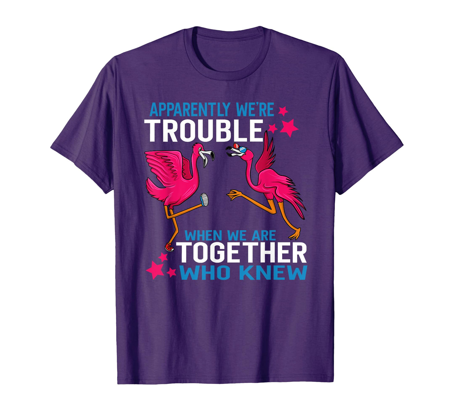 Apparently We Are Trouble When We Are Together Flamingo T-Shirt