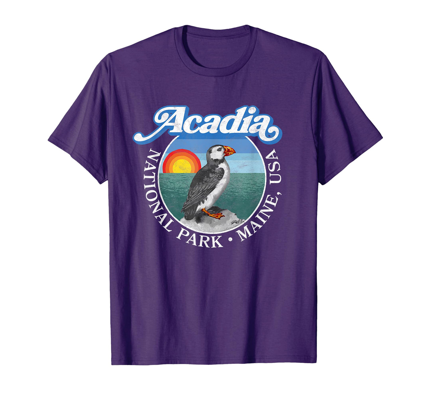 Retro Acadia National Park Vintage Maine Puffin T-Shirt