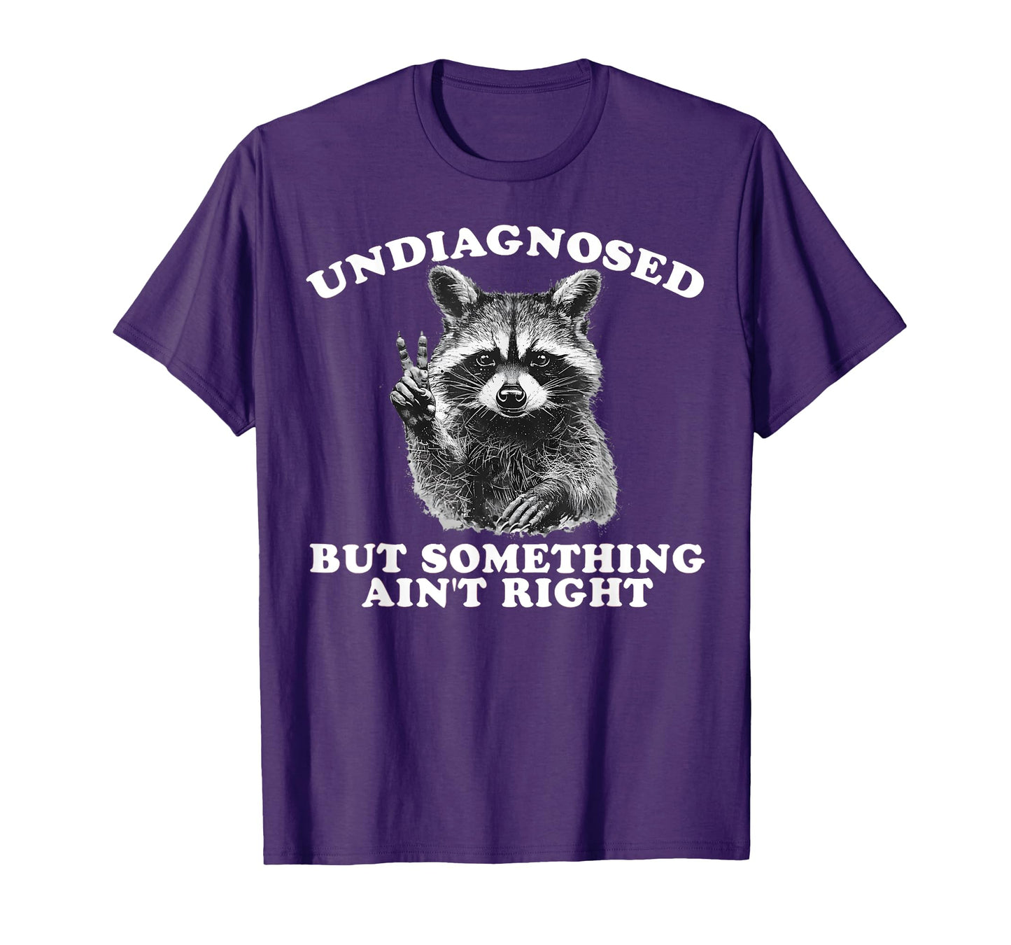 Funny Saying Raccoon Undiagnosed But Something Ain't Right T-Shirt