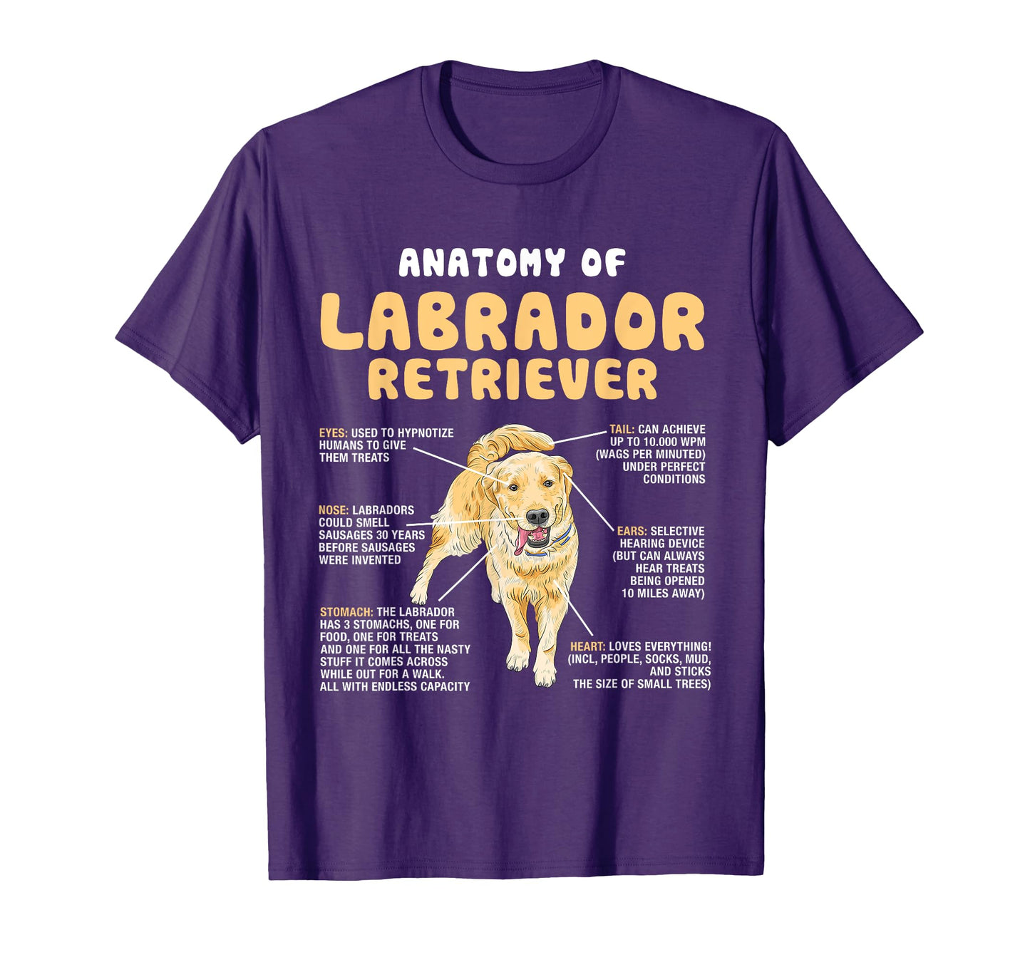 Anatomy Of Labrador Retriever Lovers Funny Lab Owners T-Shirt