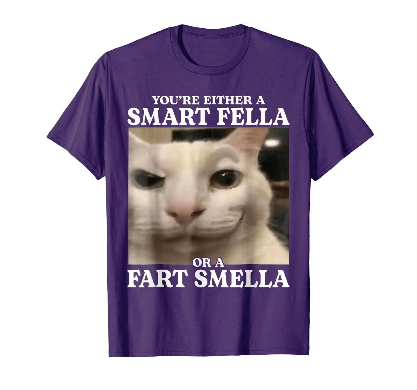 You're Either a Smart Fella or a Fart Smella Cat Funny Meme T-Shirt