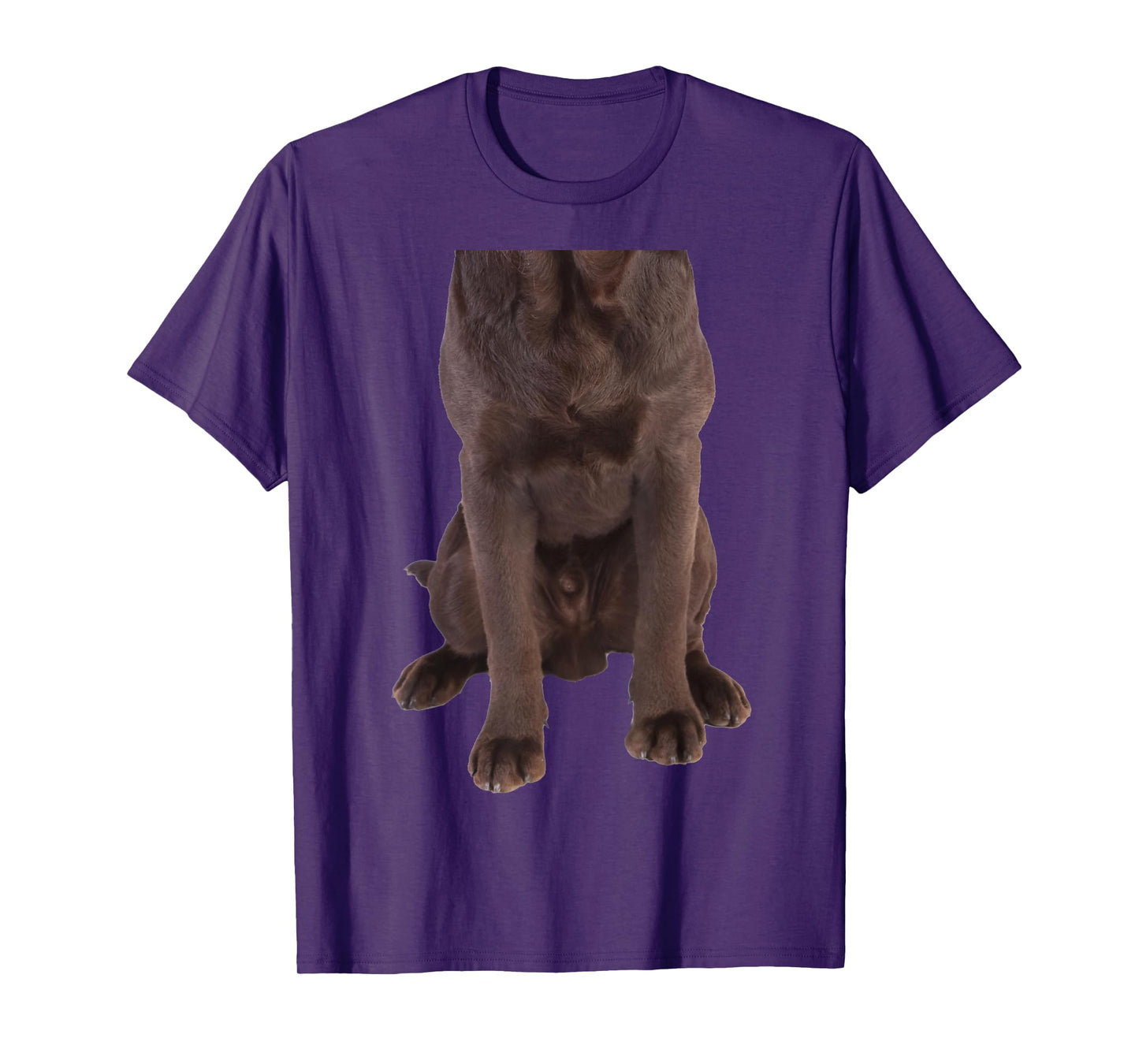 Brown Labrador Retriever Chocolate Lab Funny Dog Costume T-Shirt for Men Women Girls Kids